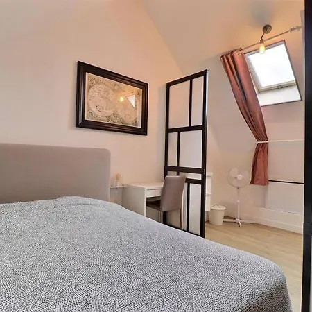 Grand Loft Proche Centre Lille
