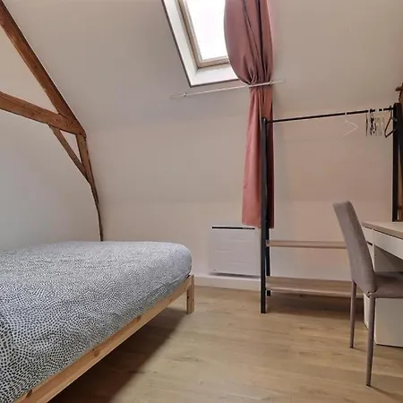 Grand Loft Proche Centre Apartment