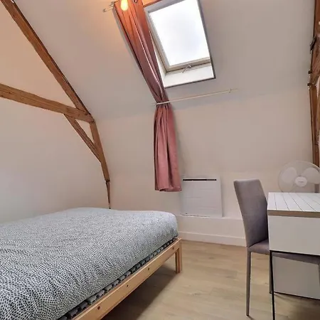 Grand Loft Proche Centre Apartment