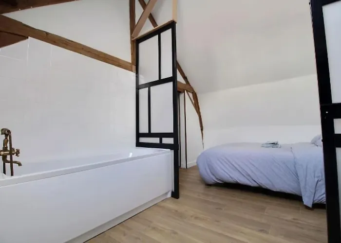 Grand Loft Proche Centre Appartamento Lilla