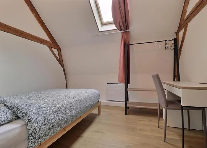 Grand Loft Proche Centre Appartamento